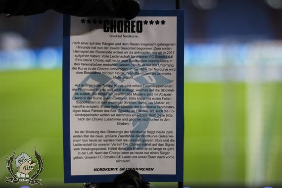 FC Schalke 04 vs Hannover 96 (1-1) (21)