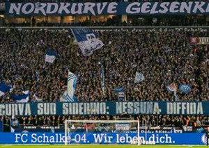 FC Schalke 04 vs TSG Hoffenheim (2-1)