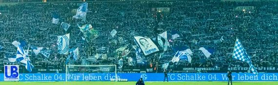 FC Schalke 04 vs TSG Hoffenheim (2-1) (3)