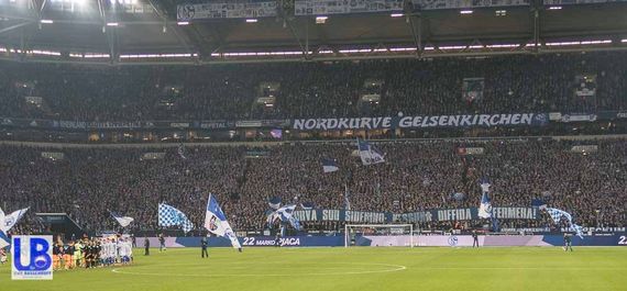 FC Schalke 04 vs TSG Hoffenheim (2-1) (4)