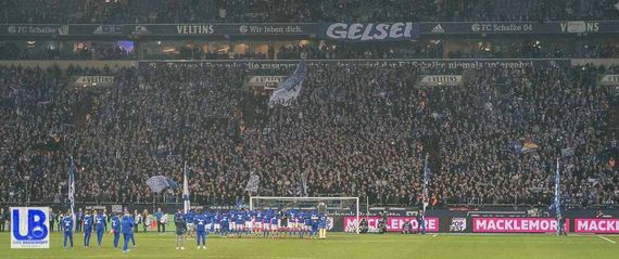 FC Schalke 04 vs TSG Hoffenheim (2-1) (7)