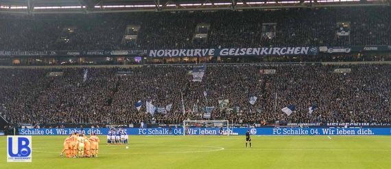 FC Schalke 04 vs TSG Hoffenheim (2-1) (9)