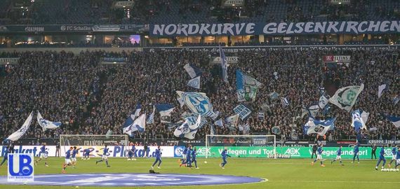 FC Schalke 04 vs TSG Hoffenheim (2-1) (10)