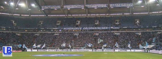FC Schalke 04 vs TSG Hoffenheim (2-1) (12)