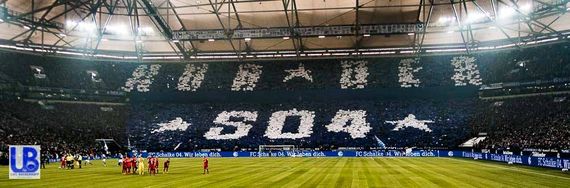 FC Schalke 04 vs Hertha BSC (1-0) (13)