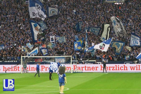 FC Schalke 04 vs SC Freiburg (2-0) (4)