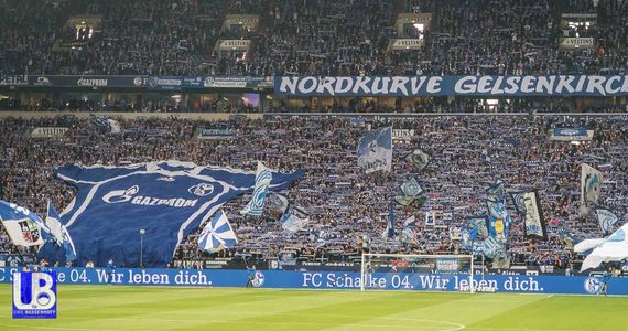 FC Schalke 04 vs SC Freiburg (2-0) (5)
