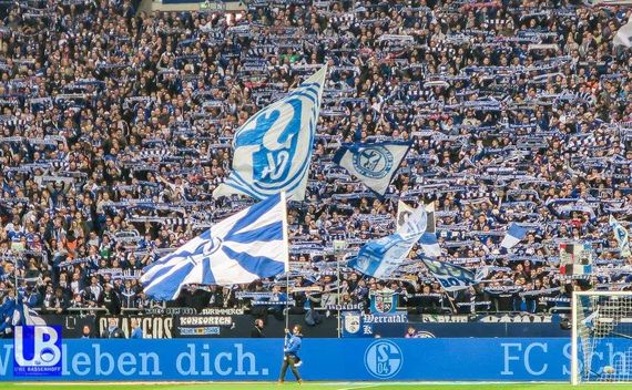 FC Schalke 04 vs SC Freiburg (2-0) (18)
