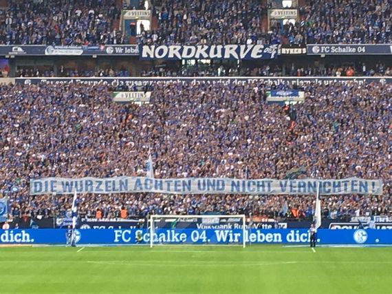 FC Schalke 04 vs VfB Stuttgart (3-1) (2)