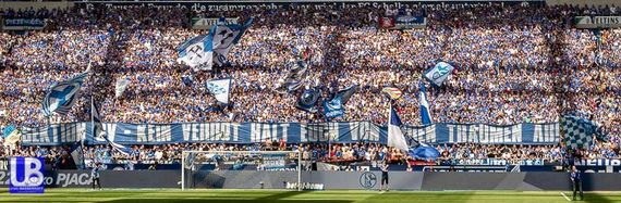 FC Schalke 04 vs Eintracht Frankfurt (1-0) (10)