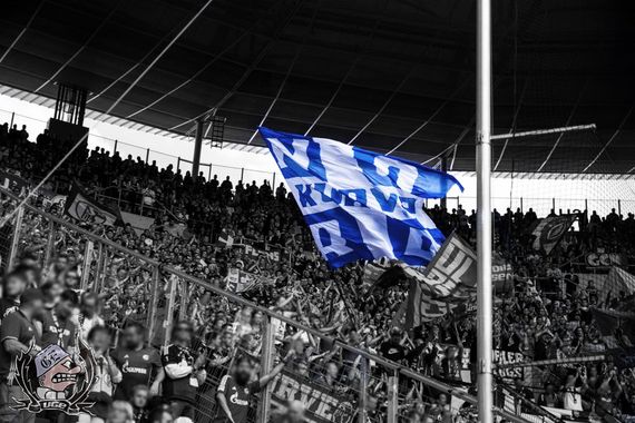 TSG Hoffenheim vs FC Schalke 04 (2-0) (5)
