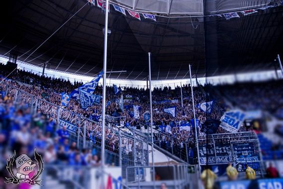 TSG Hoffenheim vs FC Schalke 04 (2-0) (6)