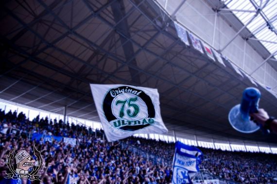 TSG Hoffenheim vs FC Schalke 04 (2-0) (14)