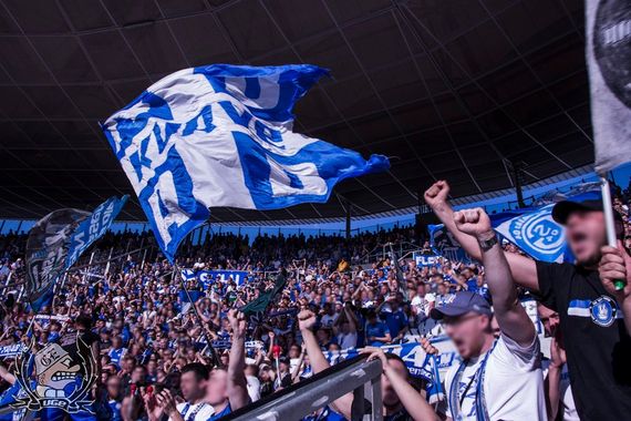 TSG Hoffenheim vs FC Schalke 04 (2-0) (16)
