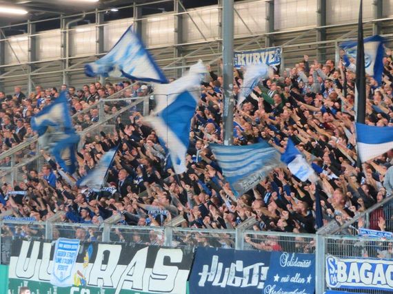 SV Wehen Wiesbaden vs FC Schalke 04 (1-3) (1)