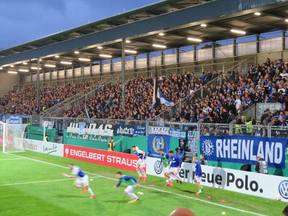 SV Wehen Wiesbaden vs FC Schalke 04 (1-3) (3)