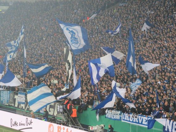 FC Schalke 04 vs 1. FC Köln (1-0) (9)