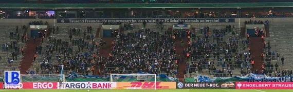 FC Schalke 04 vs VfL Wolfsburg (1-0) (3)