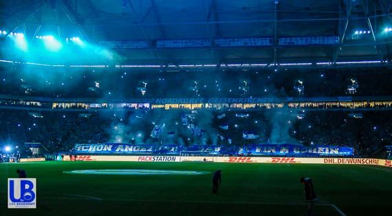 FC Schalke 04 vs VfL Wolfsburg (1-0) (5)