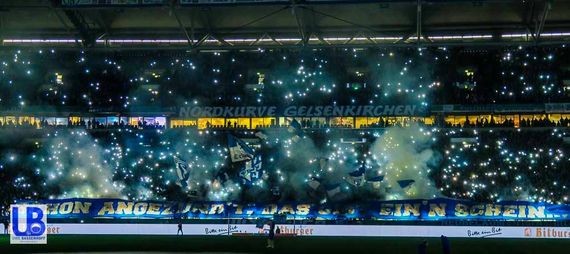 FC Schalke 04 vs VfL Wolfsburg (1-0) (9)