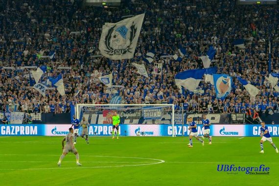 FC Schalke 04 vs FC Porto (1-1) (15)