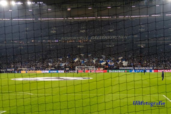 FC Schalke 04 vs Galatasaray Istanbul (2-0) (4)
