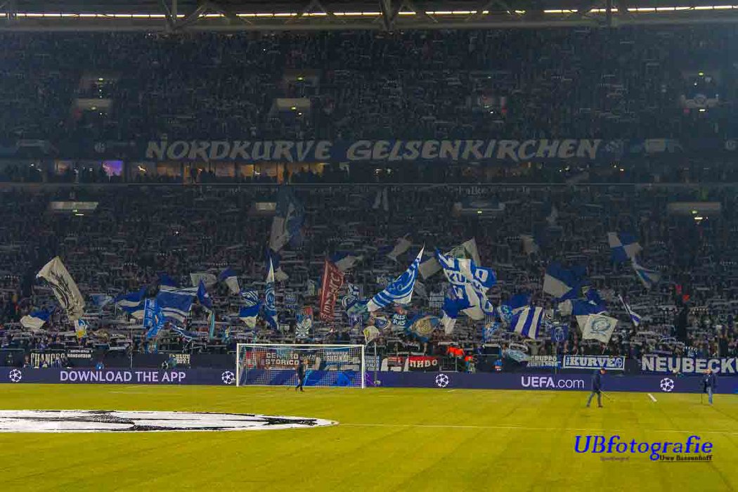 FC Schalke 04 vs Manchester City (2-3) (5)