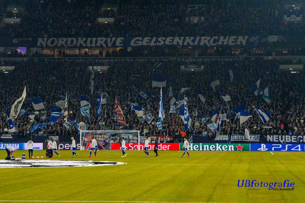 FC Schalke 04 vs Manchester City (2-3) (6)
