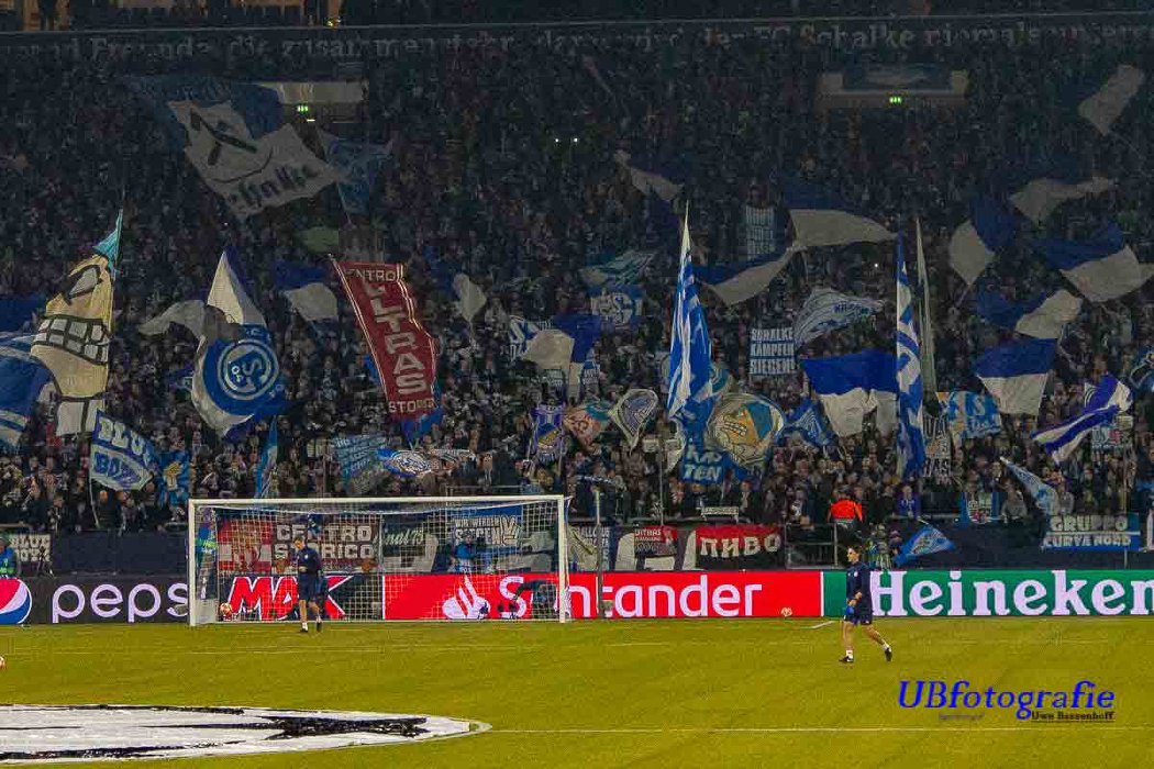 FC Schalke 04 vs Manchester City (2-3) (12)