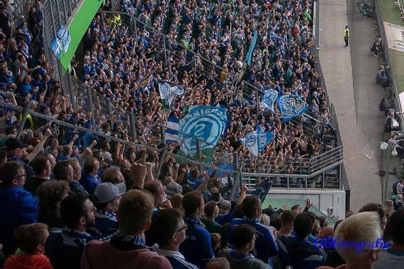 VfL Wolfsburg vs FC Schalke 04 (2-1) (5)