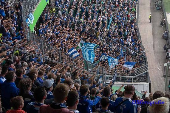 VfL Wolfsburg vs FC Schalke 04 (2-1) (6)