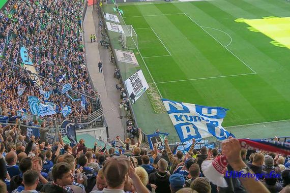 VfL Wolfsburg vs FC Schalke 04 (2-1) (7)