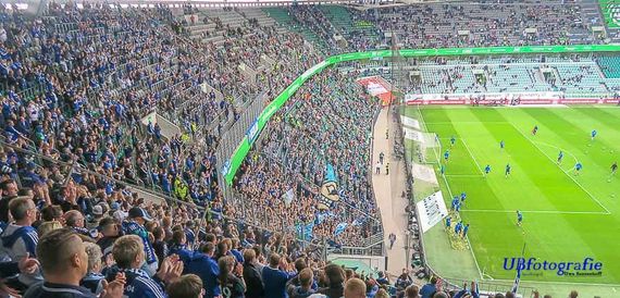 VfL Wolfsburg vs FC Schalke 04 (2-1) (16)