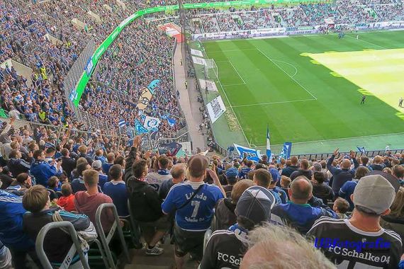 VfL Wolfsburg vs FC Schalke 04 (2-1) (18)