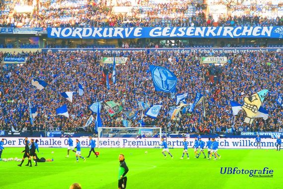 FC Schalke 04 vs Hannover 96 (3-1) (8)