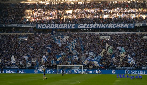 FC Schalke 04 vs Hannover 96 (3-1) (12)