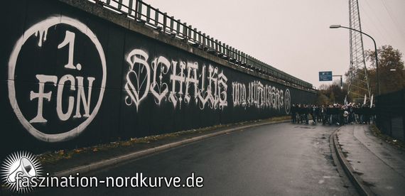 FC Schalke 04 vs 1. FC Nürnberg (5-2) (9)