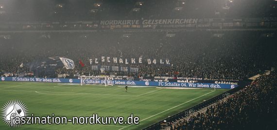 FC Schalke 04 vs 1. FC Nürnberg (5-2) (16)