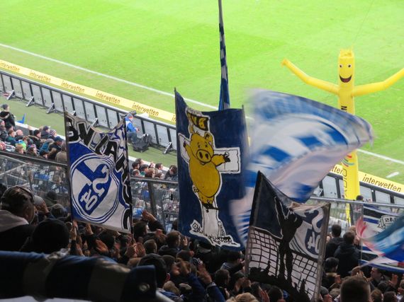 TSG Hoffenheim vs FC Schalke 04 (1-1) (11)