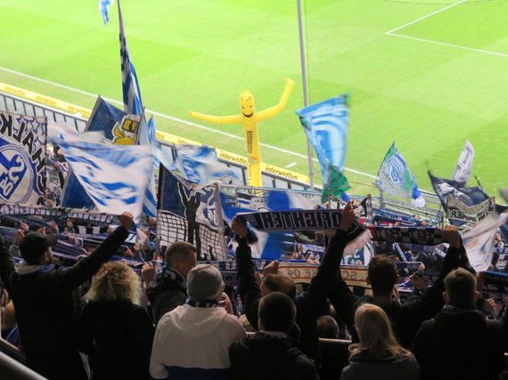 TSG Hoffenheim vs FC Schalke 04 (1-1) (23)