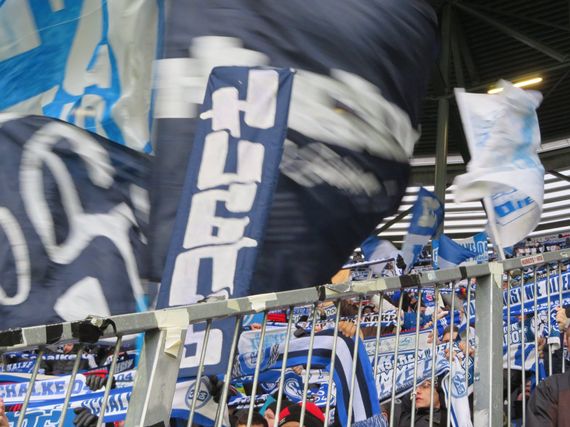 FC Augsburg vs FC Schalke 04 (1-1) (7)