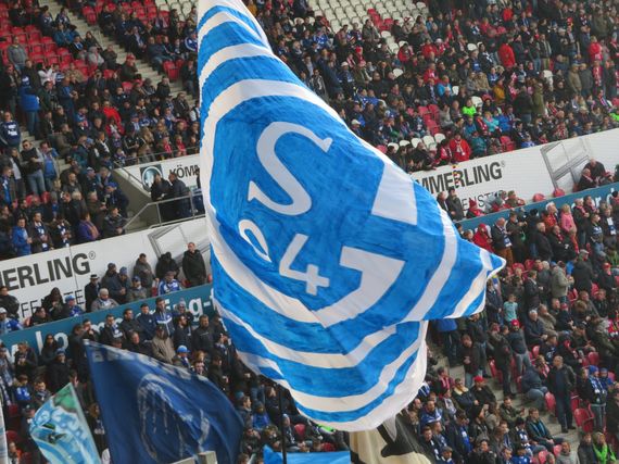 1. FSV Mainz 05 vs FC Schalke 04 (3-0) (10)