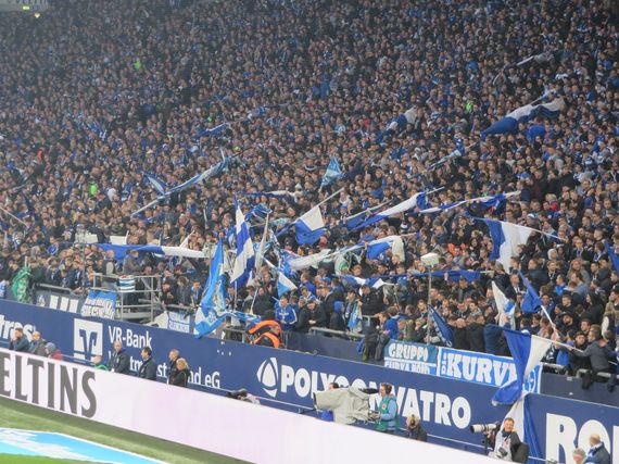 FC Schalke 04 vs Fortuna Düsseldorf (0-4) (1)