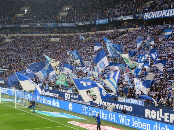 FC Schalke 04 vs Fortuna Düsseldorf (0-4) (2)