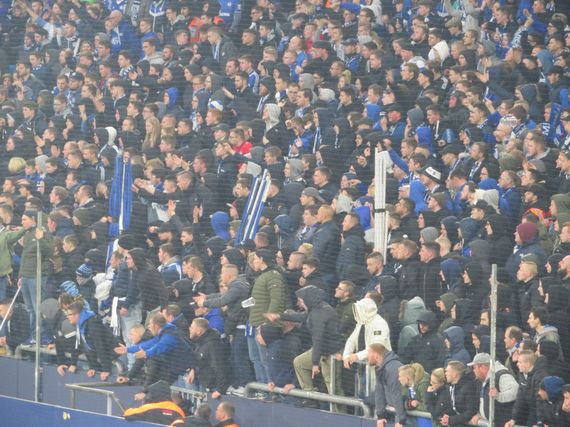FC Schalke 04 vs Fortuna Düsseldorf (0-4) (17)