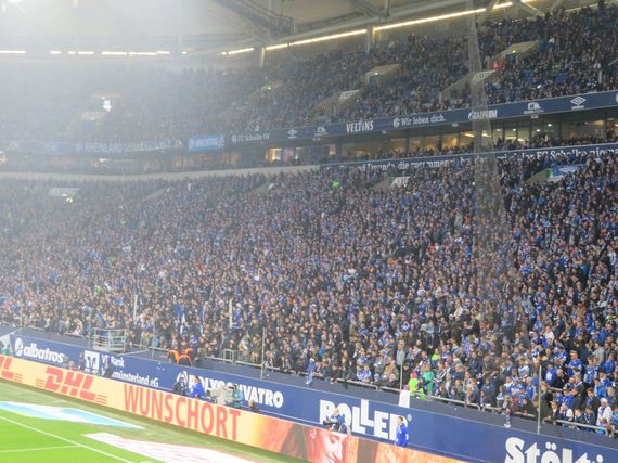 FC Schalke 04 vs Fortuna Düsseldorf (0-4) (22)