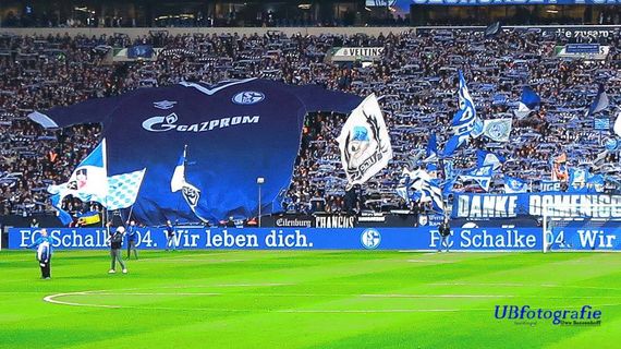 FC Schalke 04 vs RB Leipzig (0-1) (5)