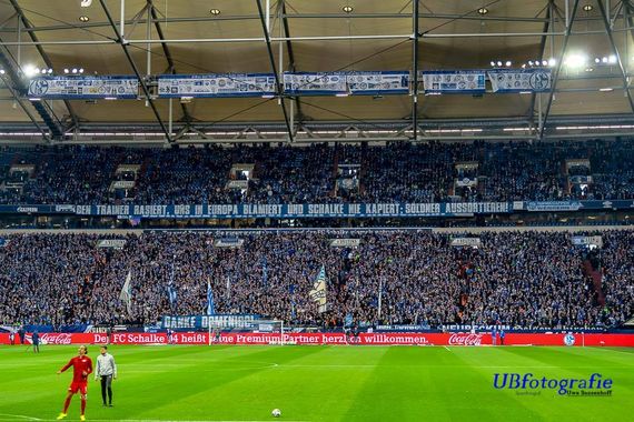 FC Schalke 04 vs RB Leipzig (0-1) (10)