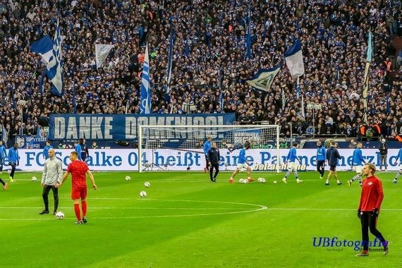 FC Schalke 04 vs RB Leipzig (0-1) (11)