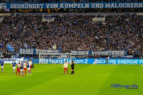 FC Schalke 04 vs RB Leipzig (0-1) (12)